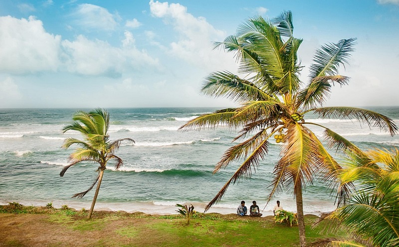 Топ направлений для тех кто мечтает о новых открытиях